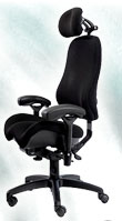 Bodybilt Executive/Task Chairs